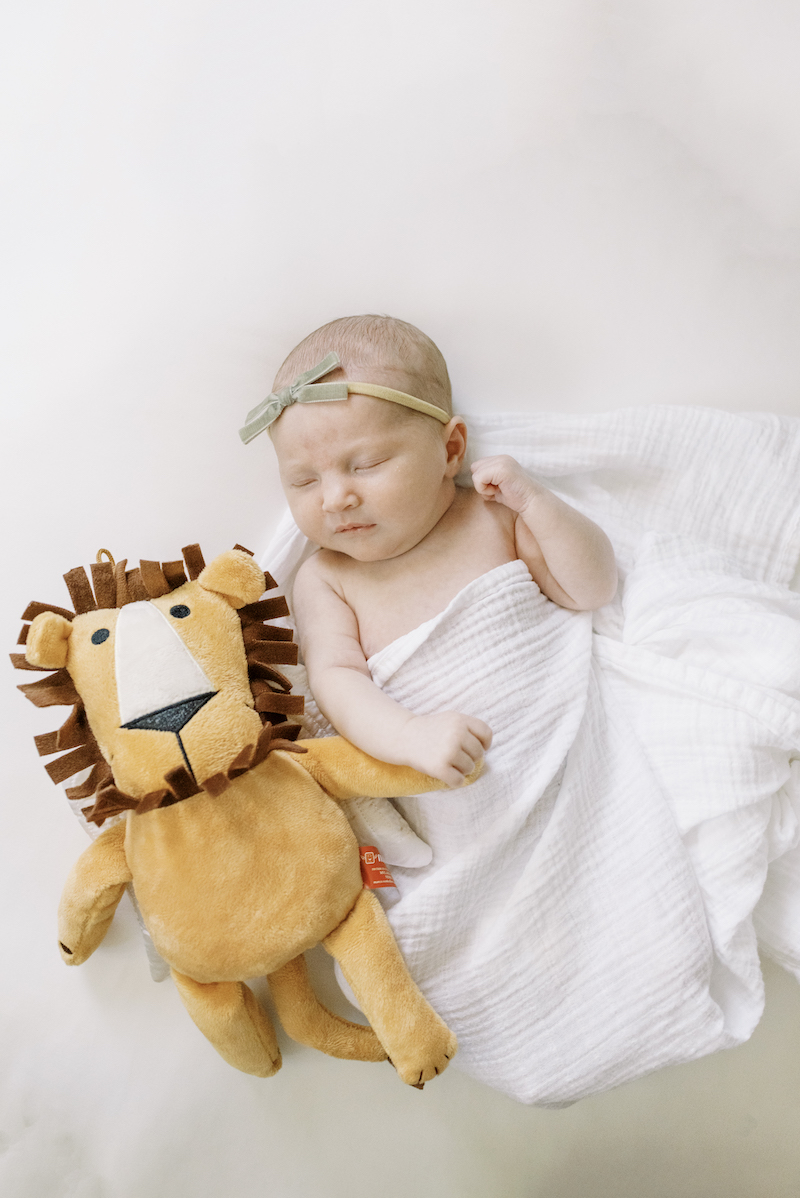 Richmond-newborn-photography newborn posed with lion stuffed animal toy