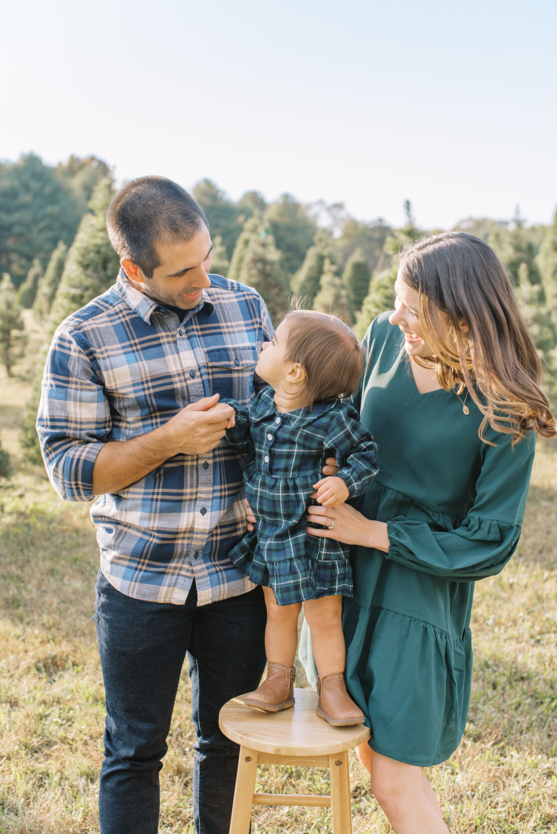 parents posed with daughter on stool at christmas tree farm for christmas card
