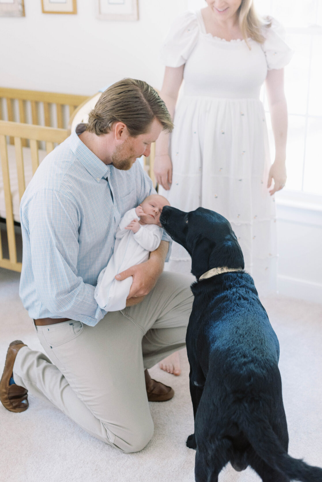 Key poses for newborn photos | Light and airy photo of a father showing the family's black lab dog their newborn baby son by Richmond newborn photographer Jacqueline Aimee Portraits