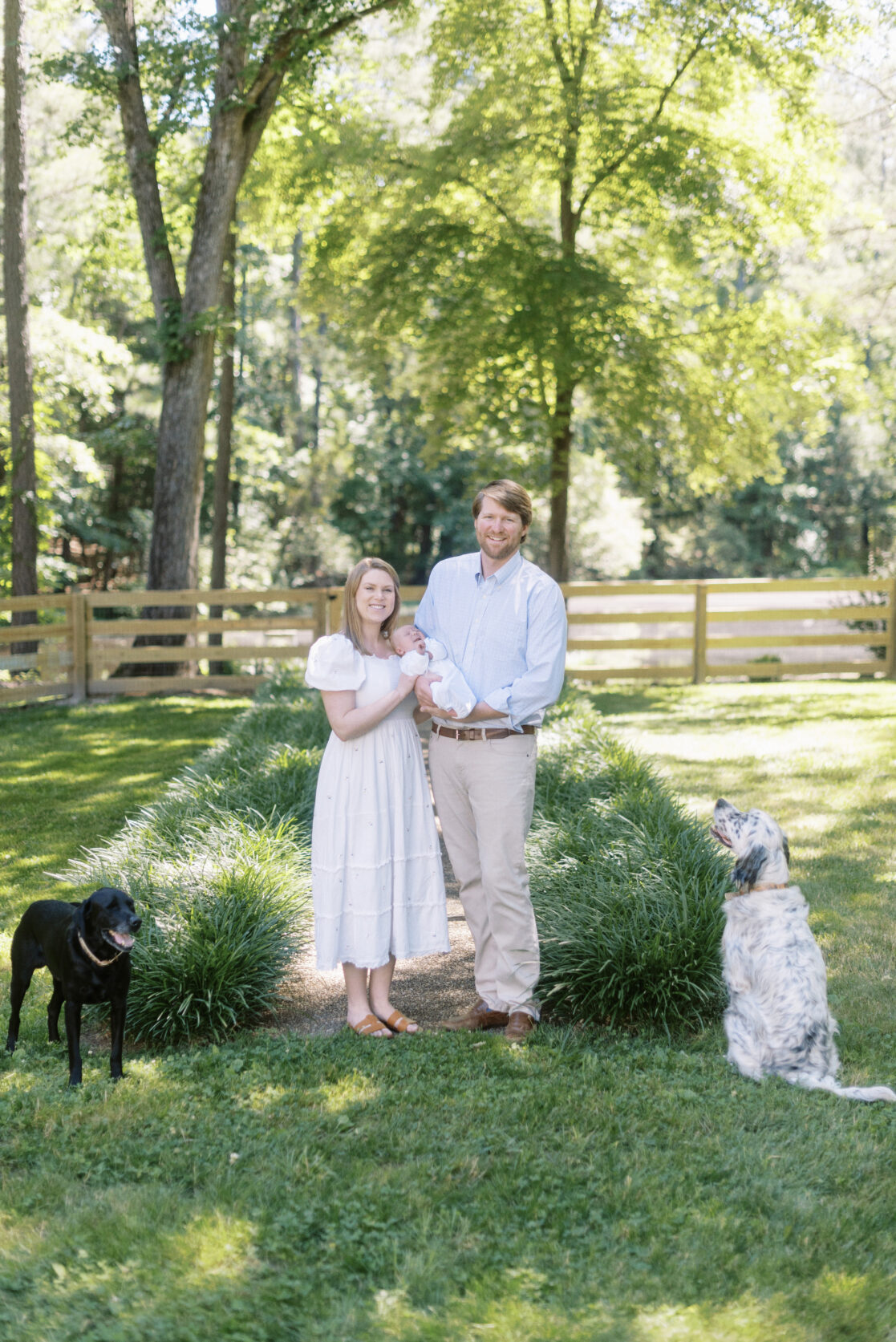 Key poses for newborn photos | Light and airy photo of a mother, father and newborn baby boy standing in a lush green backyard with the two family dogs by their feet by Richmond newborn photographer Jacqueline Aimee Portraits