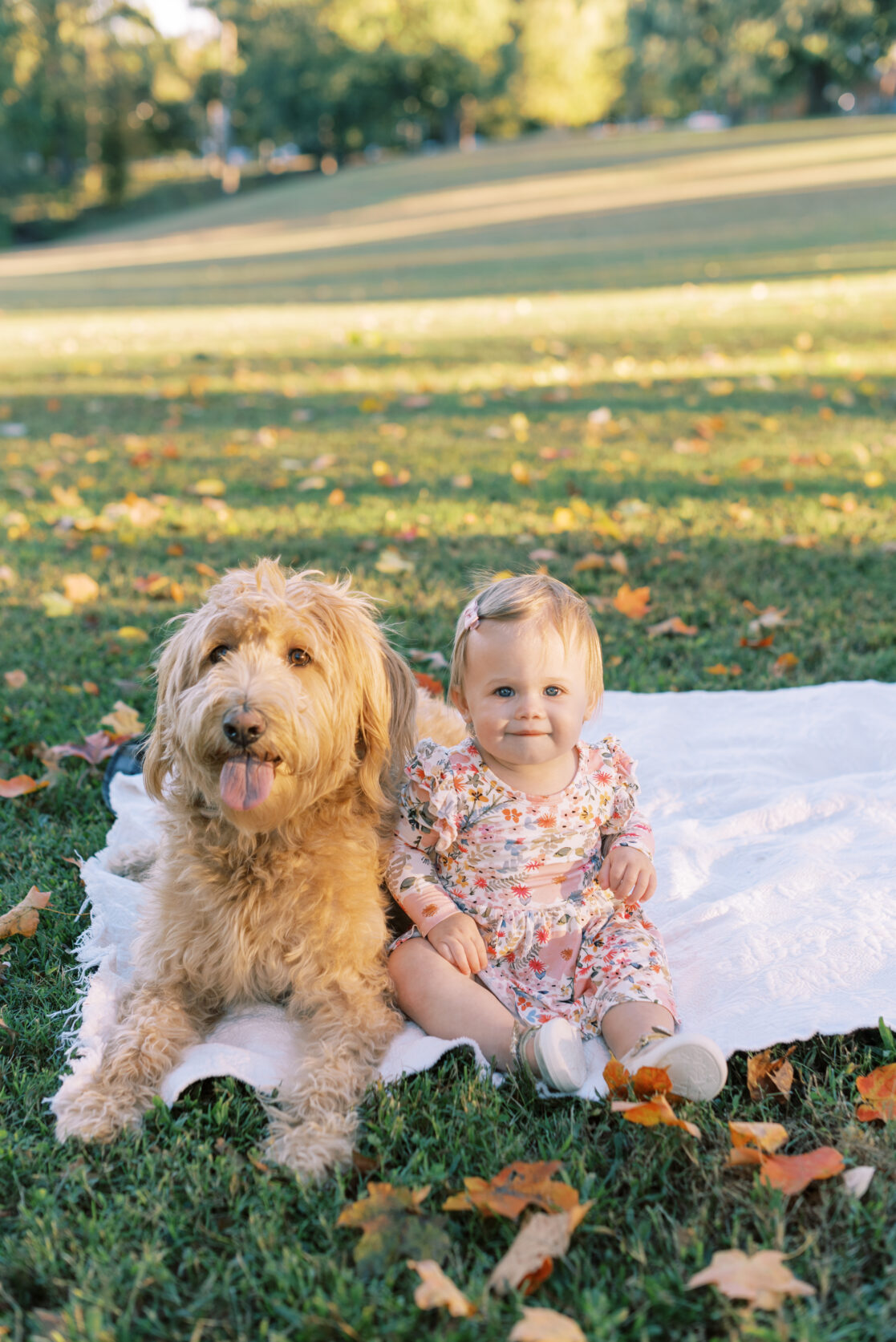 Photo of a toddler girl and her dog during their richmond fall mini session with jacqueline aimee portraits