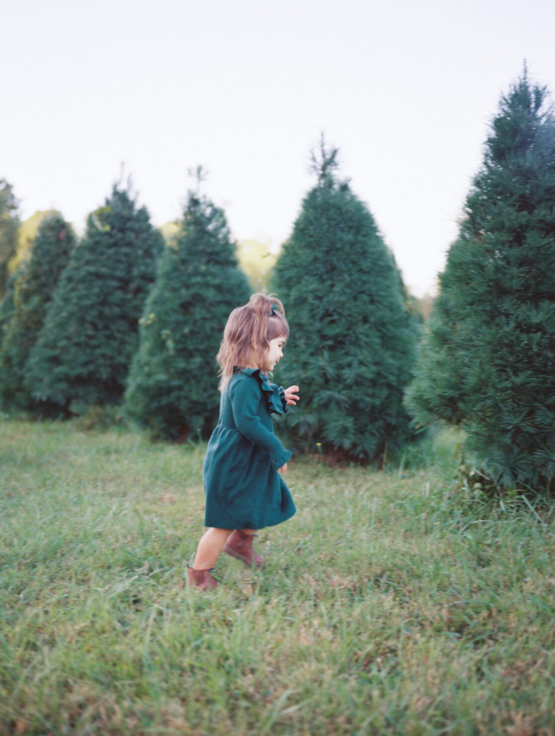 Photo of a toddler girl running through a maze of uncut Christmas trees during their richmond fall mini session with jacqueline aimee portraits