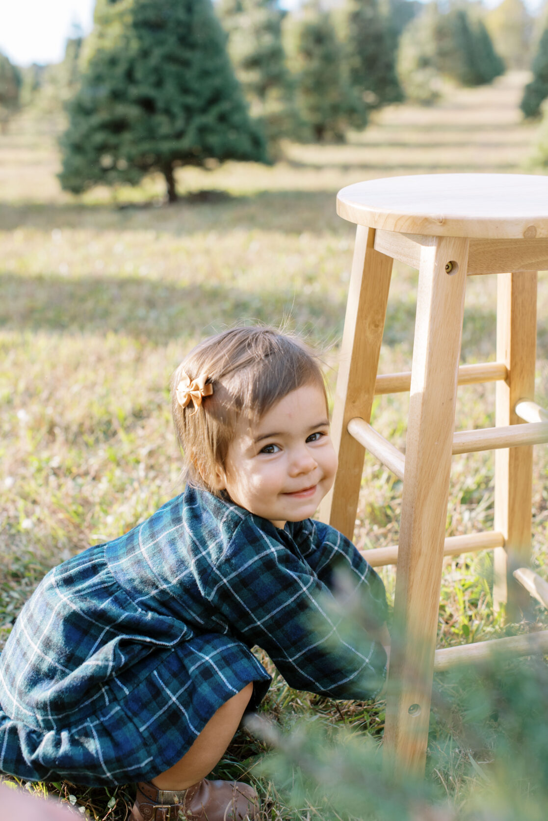 Photo of a toddler girl praciting her standing with help of a stool surrounded by uncut Christmas trees during their richmond fall mini session with jacqueline aimee portraits