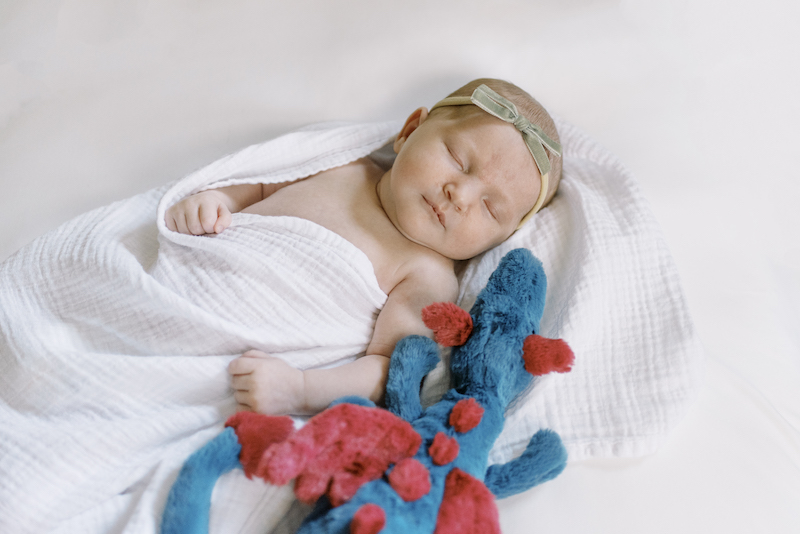 newborn baby with dragon stuffed animal toy