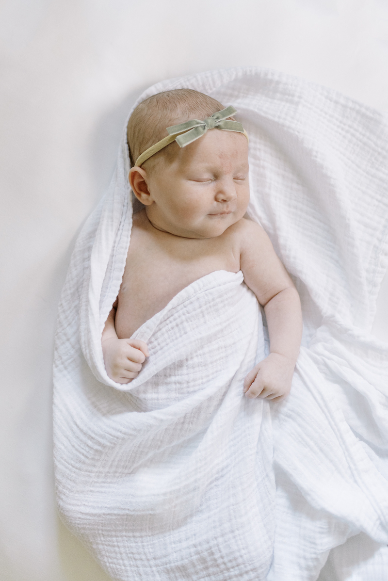 newborn portrait posed in blanket