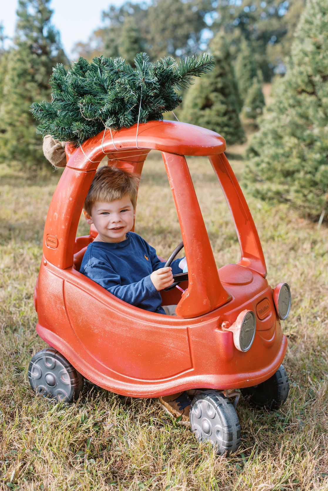 son posed in kids car with christmas tree on top for holiday portrait