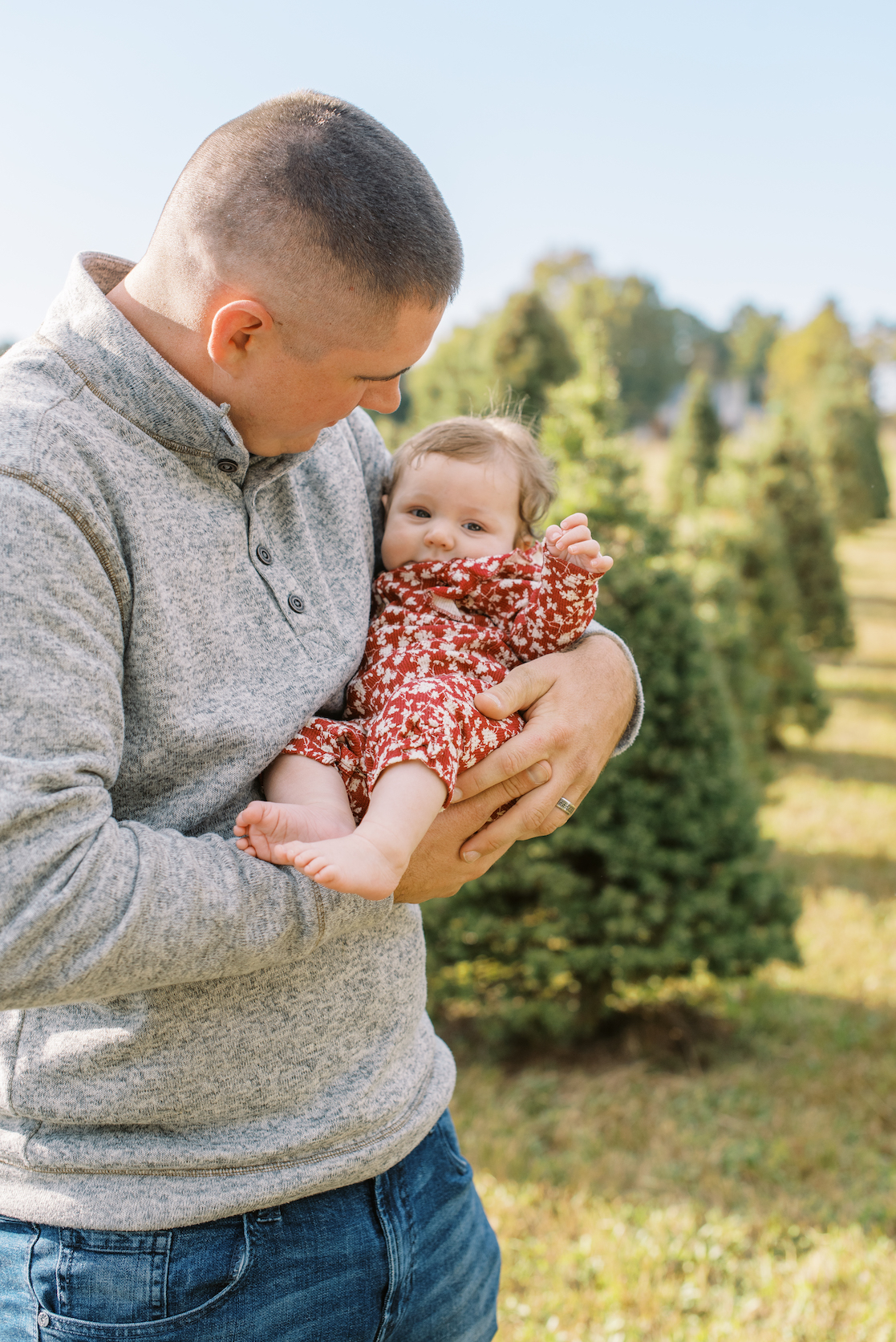 father holding newborn for christmas card photo at christmas tree farm