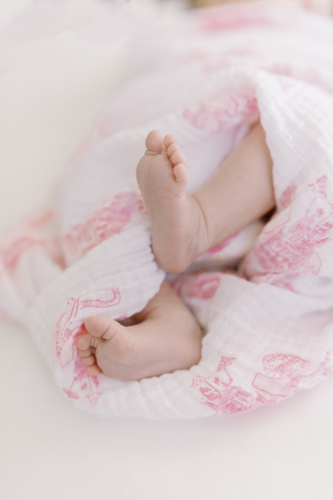 newborn baby photo toes close up